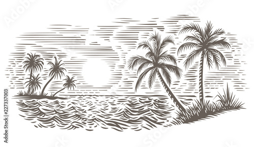 Palms and sea engraving style illustration. Tropical beach. Vector, isolated. 