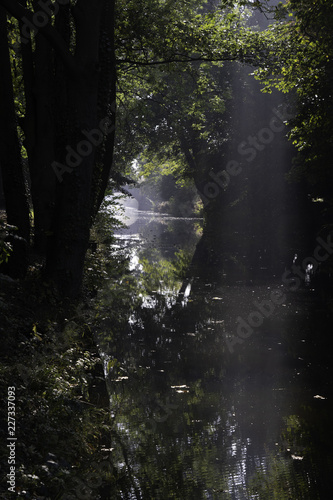 Sunlight shining through trees on Ripon Canal, North Yorkshire, England, UK.