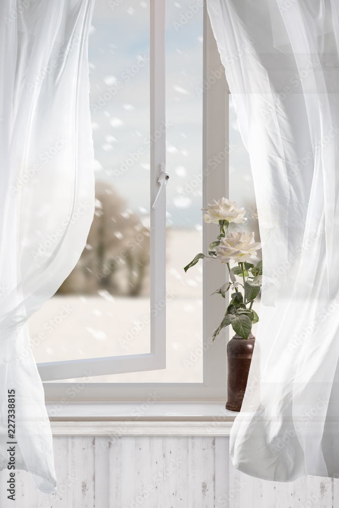 White Roses In Winter Window White Roses In Winter Window