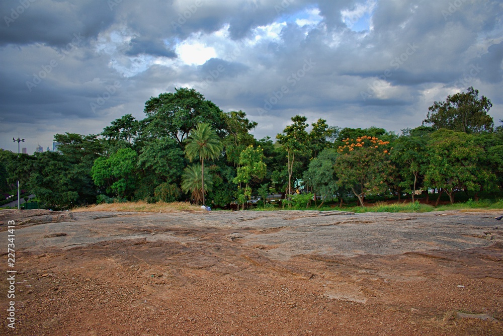 Fototapeta premium BEAUTIFUL VIEW IN LALBAGH