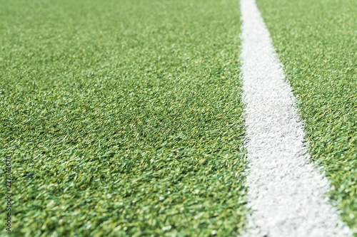 Wallpaper Mural White strip on the football field Torontodigital.ca