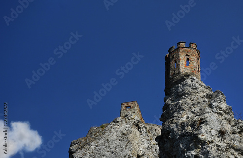 Canvas Print Historic Devin Castle