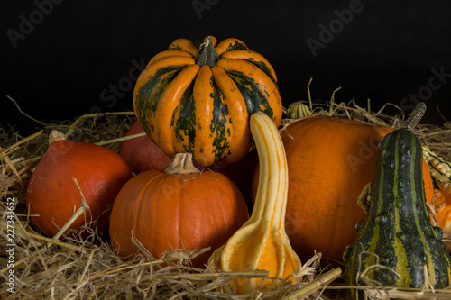 Halloween decoration with pumpkins