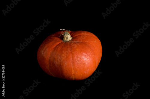Pumpkin on Black Background