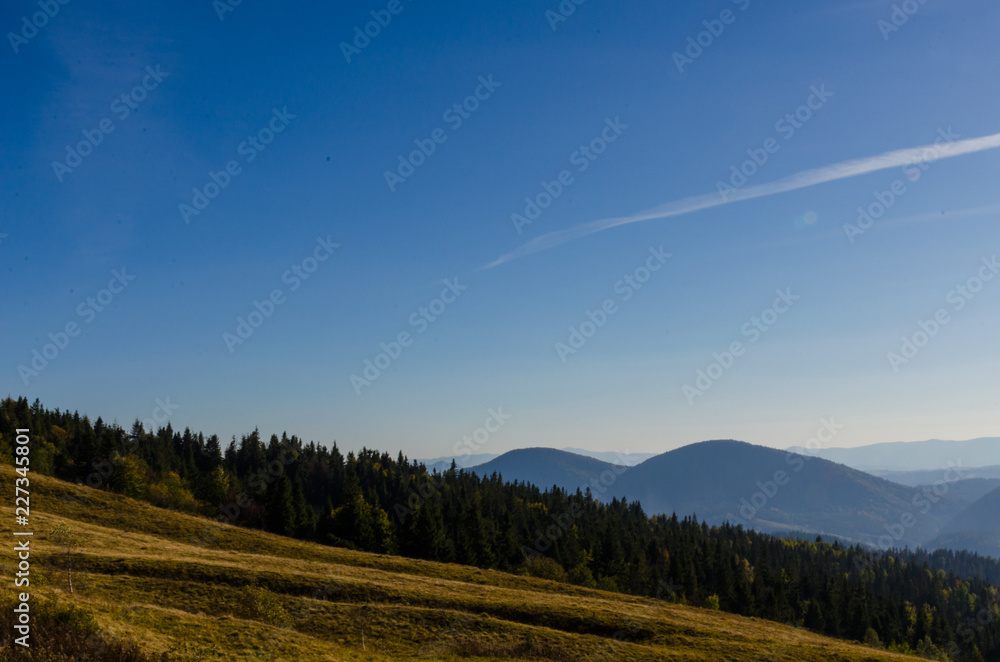 Fototapeta premium Carpathian mountains in sunny day in the autumn season