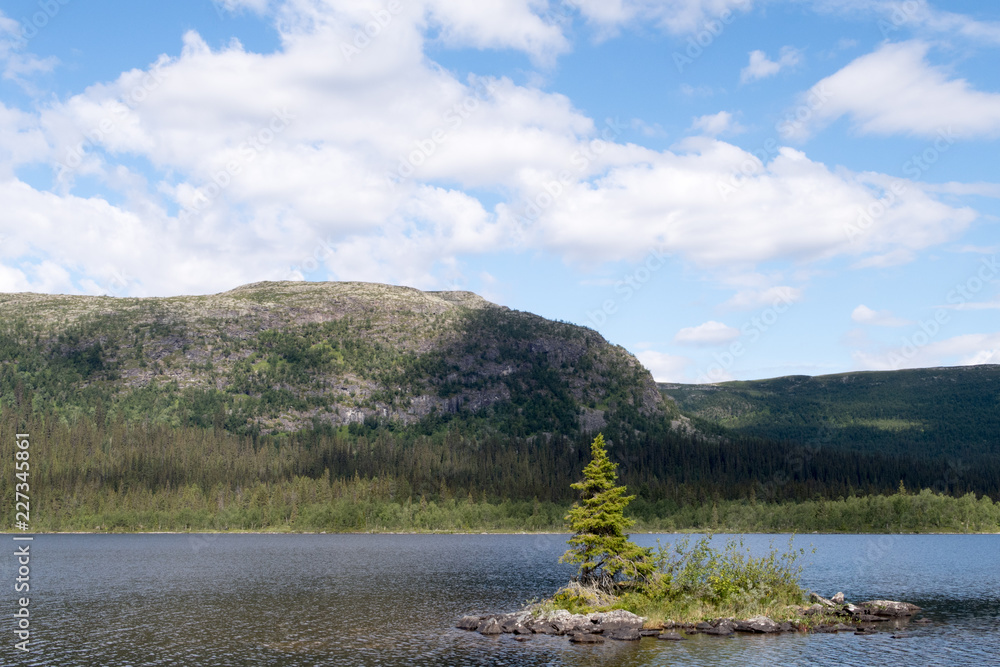 single tree in the lake between Kvikkjokk and Pårte in northern sweden single tree in the lake between Kvikkjokk and Pårte in northern sweden