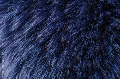 Navy 2025 blue fur