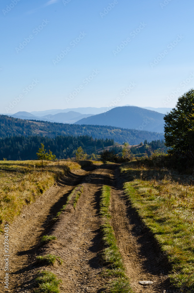 Fototapeta premium Carpathian mountains in sunny day in the autumn season