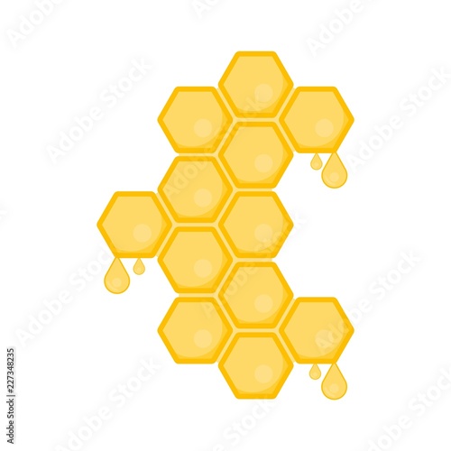 Honeycomb with flowing honey. Hexagon natural honey struct. Vector illustration