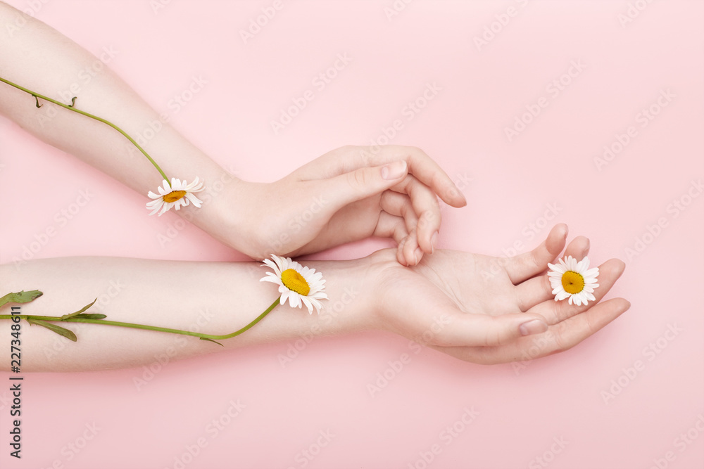 Fototapeta Fashion hand art chamomile natural cosmetics women, white beautiful chamomile flowers hand with bright contrast makeup, hand care. Creative beauty photo girl sitting at table, contrasting background