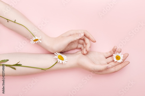 Fashion hand art chamomile natural cosmetics women, white beautiful chamomile flowers hand with bright contrast makeup, hand care. Creative beauty photo girl sitting at table, contrasting background photo
