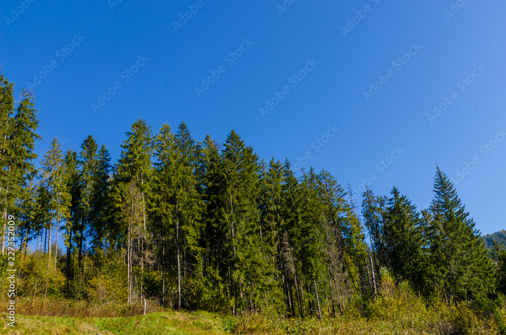 Carpathian mountains in sunny day in the autumn season Carpathian mountains in sunny day in the autumn season