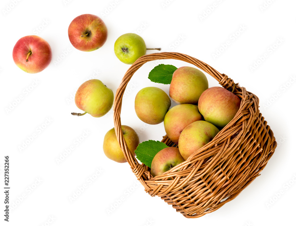 Ripe apples spilled out of the basket on a white background. The view from top. Ripe apples spilled out of the basket on a white background. The view from top.