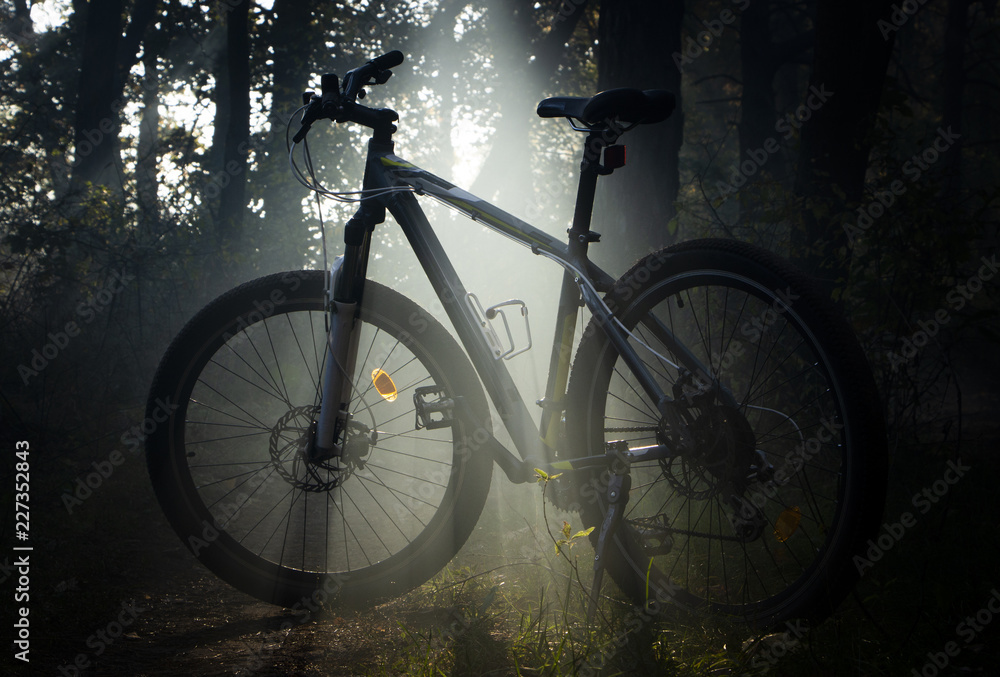 Mountain bike in the forest is sundered by a ray