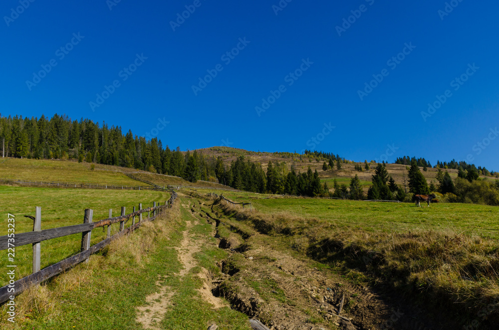 Carpathian mountains in sunny day in the autumn season