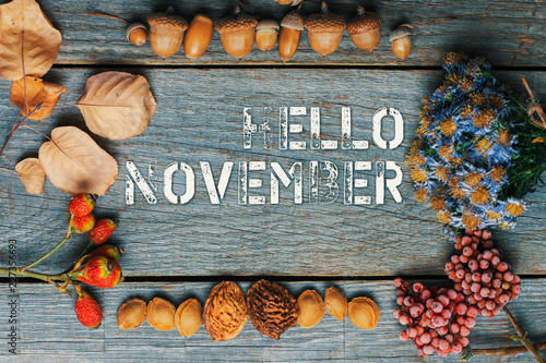 Hello november. frame of autumn decor Poster card with sunlight filter and toned grunge image 