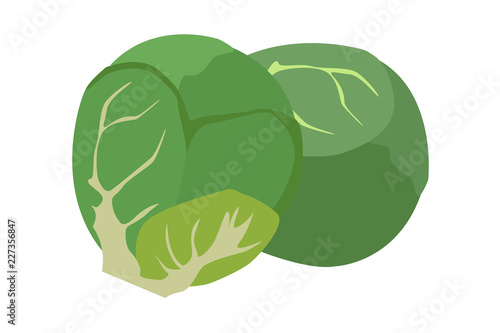 Rosenkohl