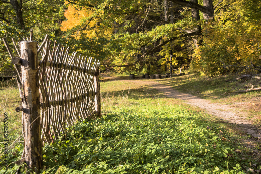 Wooden fence on the background of the autumn forest. Wooden fence on the background of the autumn forest.