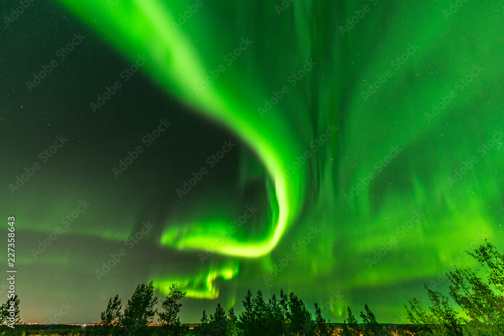 bright green curly like long tale aurora lights through the whole sky over tree tops in Sweden, river, city lights and lake, clear skies with a lot of stars, pine trees and autumn colored tree leaves 