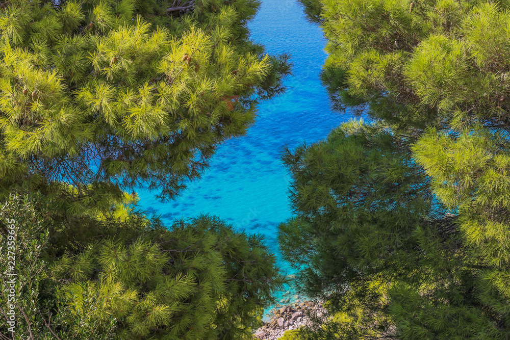 Unforgettable view through the pine forest Unforgettable view through the pine forest