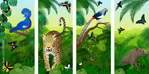 set of vector Jungle rainforest vertical baners with jaguar or leopard, North Sulawesi babirusa, diamond lady amherst's pheasan, victoria crowned pigeon and New Guinea birdwings butterflies