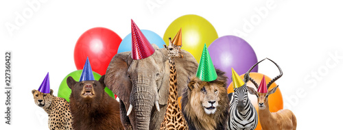 Wild Animal Birthday Party Web Banner
