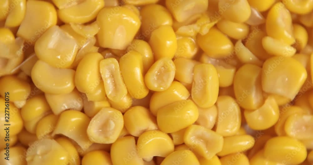 Corn grains rotation pattern macro texture background Corn grains rotation pattern macro texture background