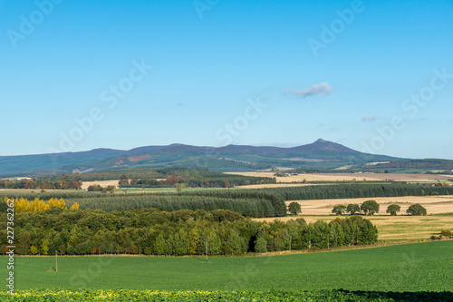 Bennachie Countryside