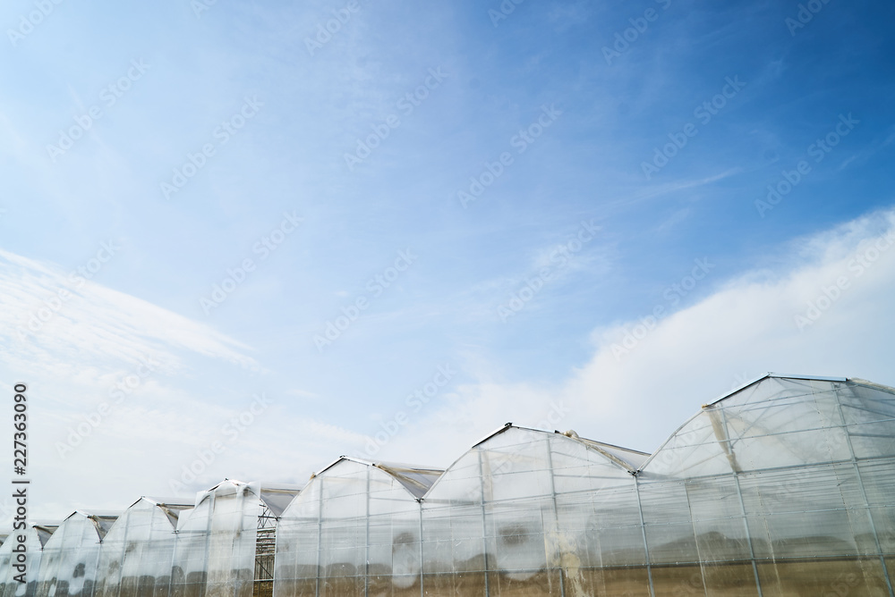 Large greenhouse in the countryside with blue sky background. Modern greenhouse for growing vegetables and flowers. Farming and agriculture concept. Large greenhouse in the countryside with blue sky background. Modern greenhouse for growing vegetables and flowers. Farming and agriculture concept.