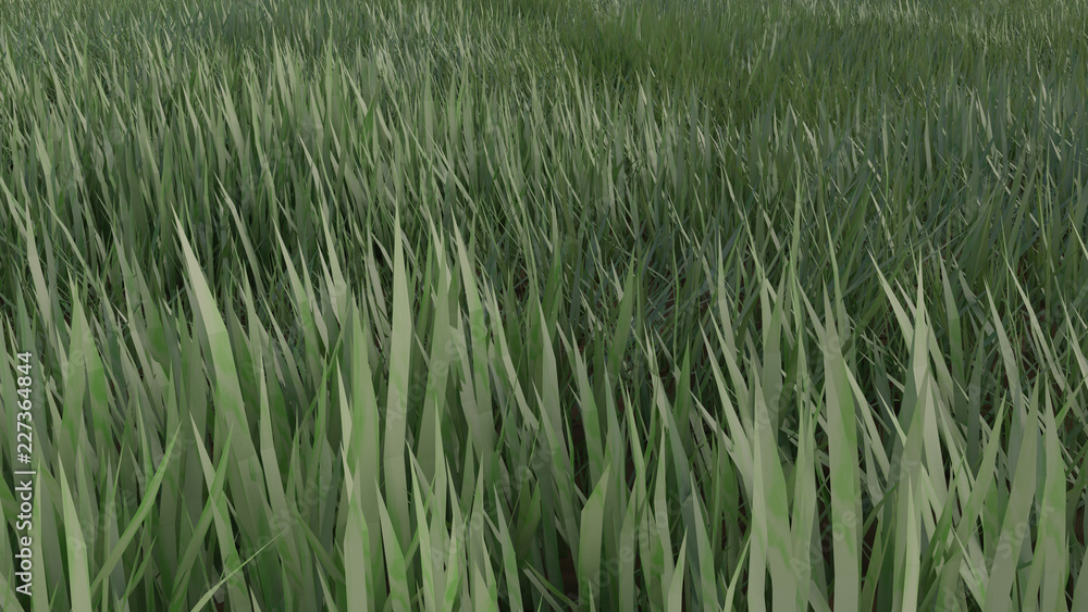 Obraz premium Césped. 3D