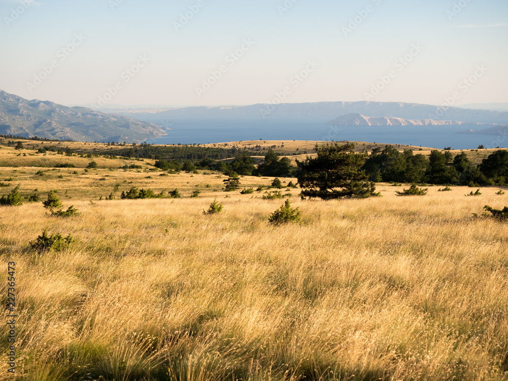 Obraz premium OLYMPUS DIGITAL CAMERA