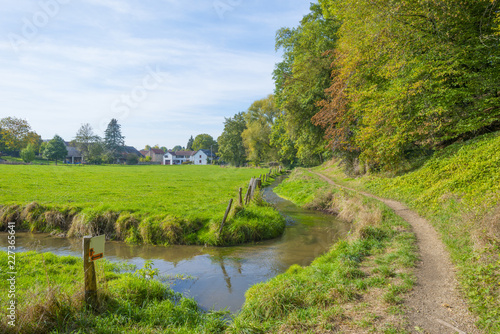 Trees in autumn colors along a stream in a meadow in sunlight at fall