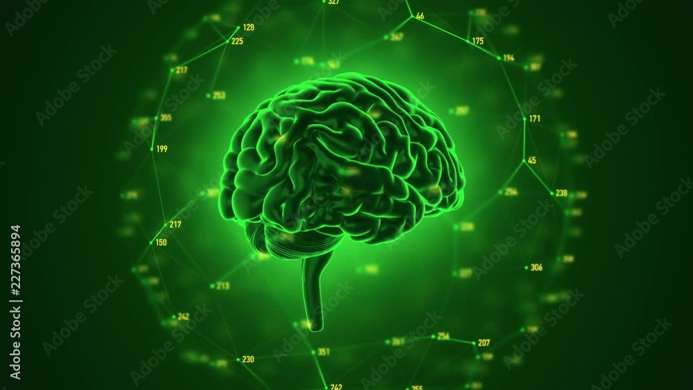 Animation of rotation human brain with flying data around. Animation of seamless loop. Animation of rotation human brain with flying data around. Animation of seamless loop.