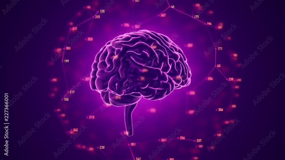 Brain Rotation Diagram Animation of rotation human brain with flying data around. Animation of ...
