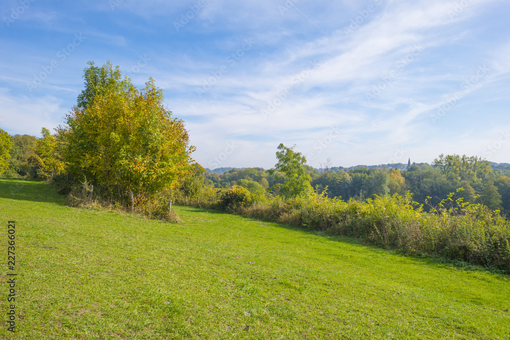 Rural landscape in autumn colors in sunlight at fall Rural landscape in autumn colors in sunlight at fall