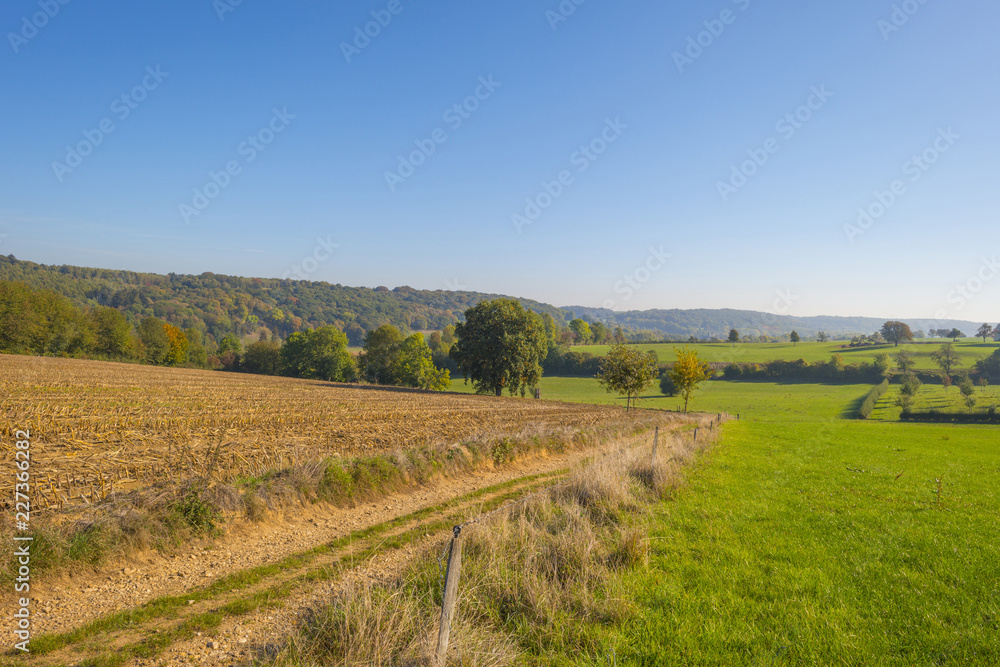 Rural landscape in autumn colors in sunlight at fall