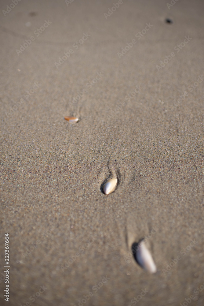 Beautiful and very stylish detailed texture of a sandy sea beach Beautiful and very stylish detailed texture of a sandy sea beach
