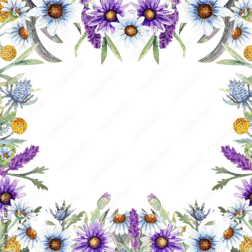 Obraz premium flowers