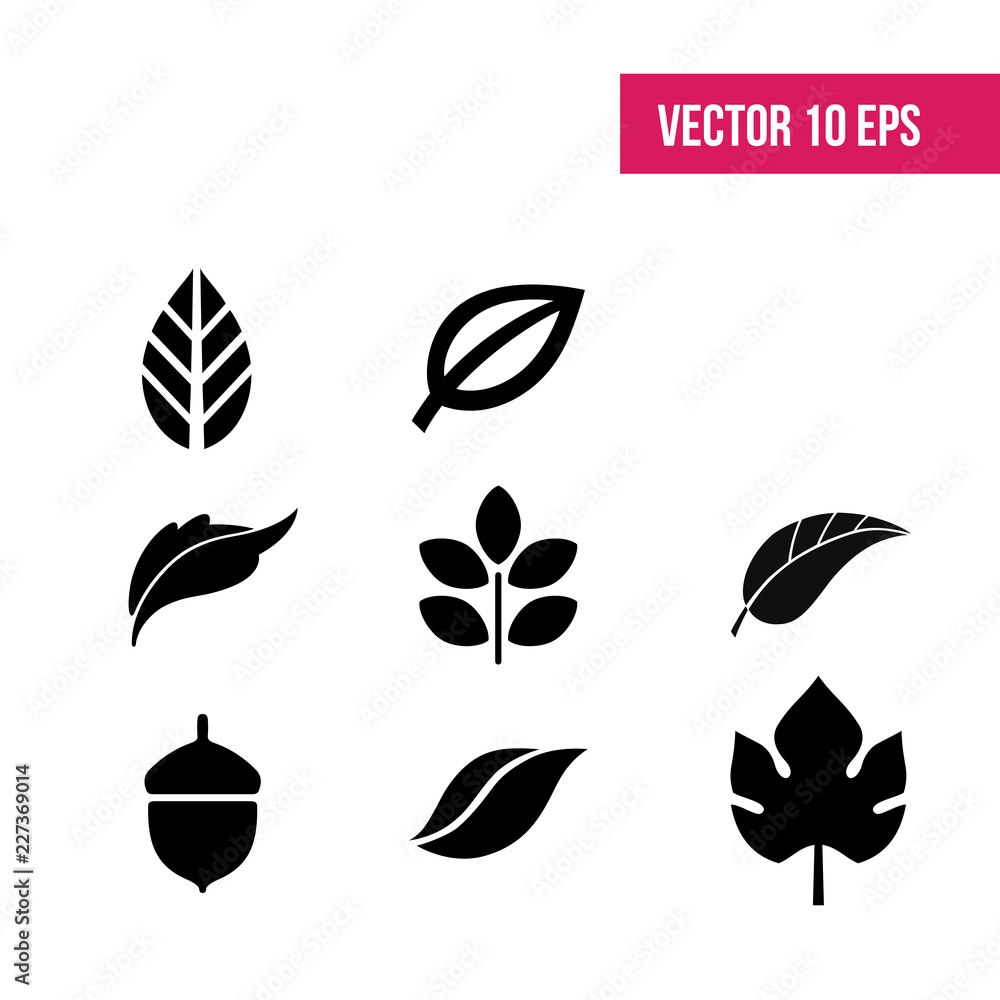 Leaves vector set. Leaves isolated from the background. Collection black silhouettes of leaves. Leaves sign.  herbarium.