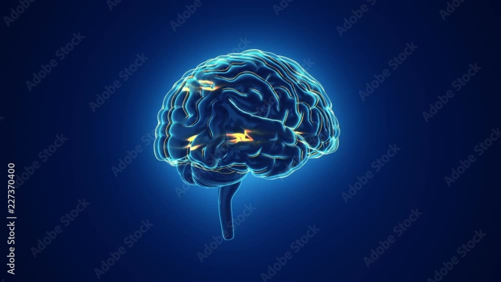 Animation of rotation human brain with flying data around. Animation of seamless loop. Animation of rotation human brain with flying data around. Animation of seamless loop.