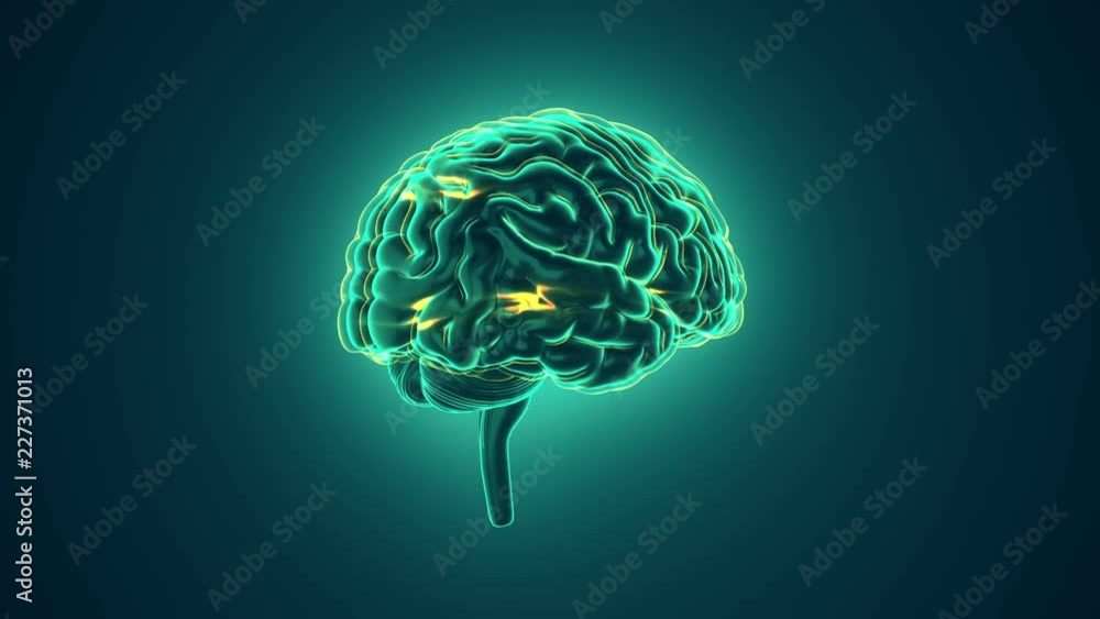 Animation of rotation human brain with flying data around. Animation of seamless loop. Animation of rotation human brain with flying data around. Animation of seamless loop.