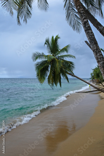 Caribbean sand beach