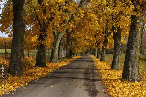 Autumnal landscape./ Autumn road country scene in north Poland © Mateusz Liberra