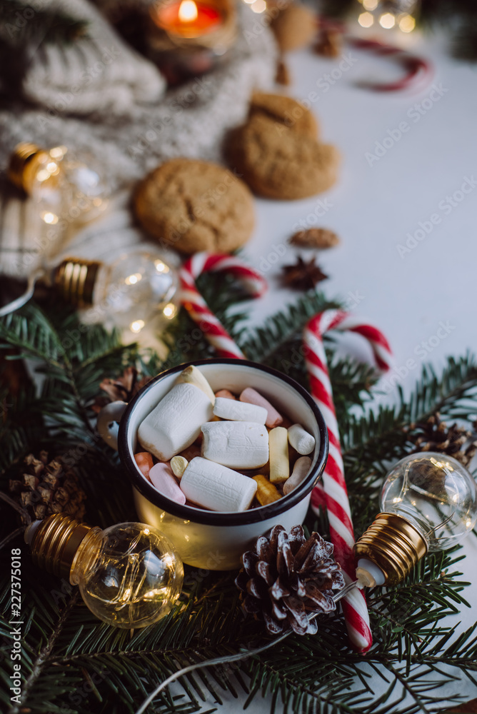 Winter hot drink. Chocolate or cocoa with marshmallow, cookies, candy on white background. Winter hot drink. Chocolate or cocoa with marshmallow, cookies, candy on white background.
