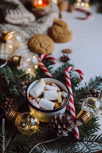 Winter hot drink. Chocolate or cocoa with marshmallow, cookies, candy on white background. 