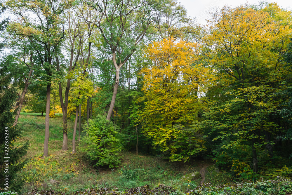 Dendropark Sofievka landscape