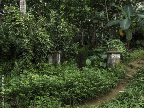 Ruins of the old civilian hospital built by the Japanese on Tonoas Island, Chuuk State (also known as Truk Lagoon). photo