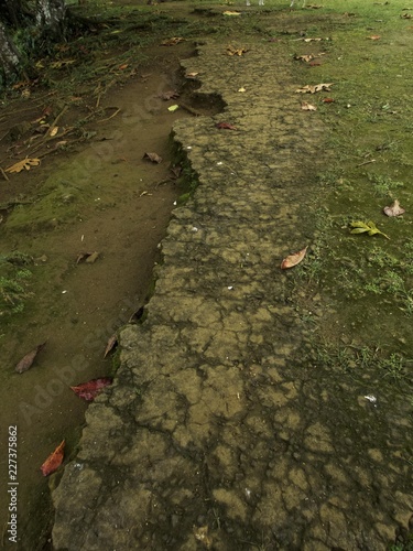 Remains of an old road built by the Japanese in the 1930s on Tonoas Island, Chuuk State (also known as Truk Lagoon). photo