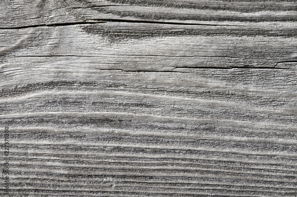 Dry wood texture Dry wood texture