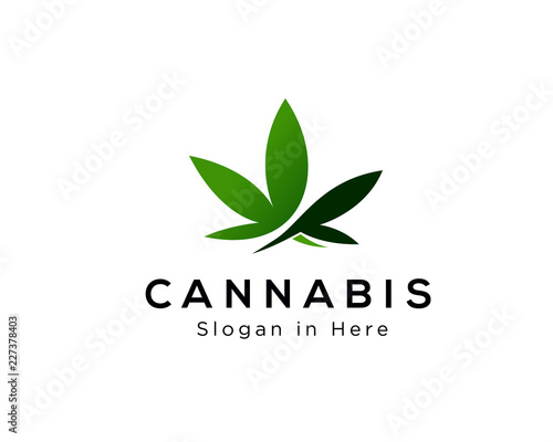 Cannabis leaf logo design